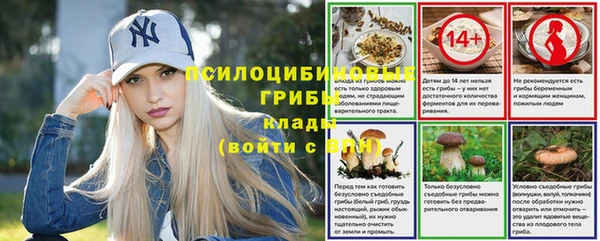 дмт Пролетарск